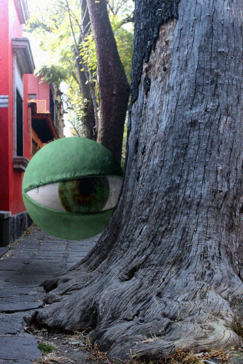 Un ojo gigante en Coyoacán